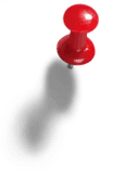 pin